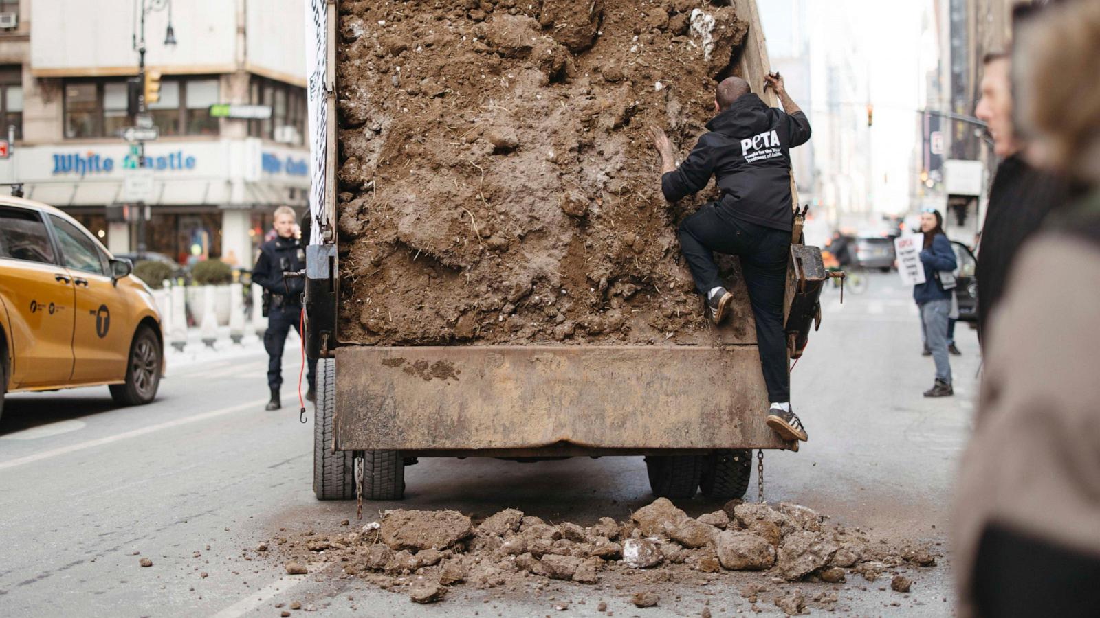 PETA's Frozen Manure Mayhem: A Hilariously Messy Protest Against the ASPCA