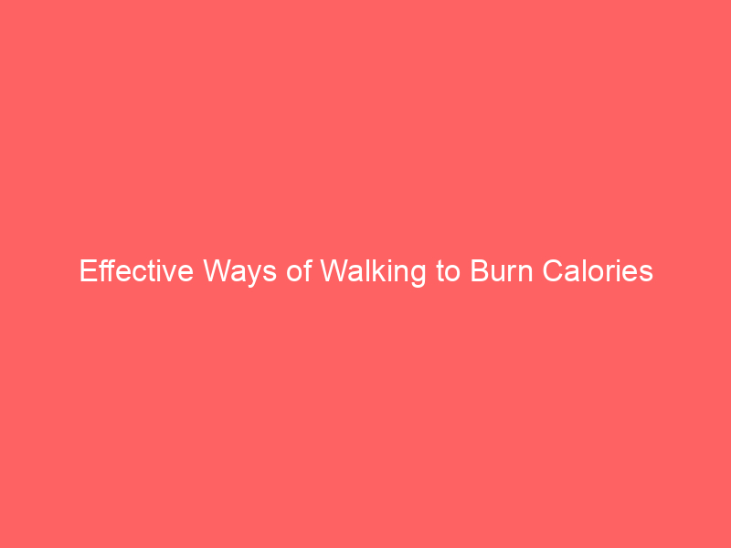 Effective Ways of Walking to Burn Calories