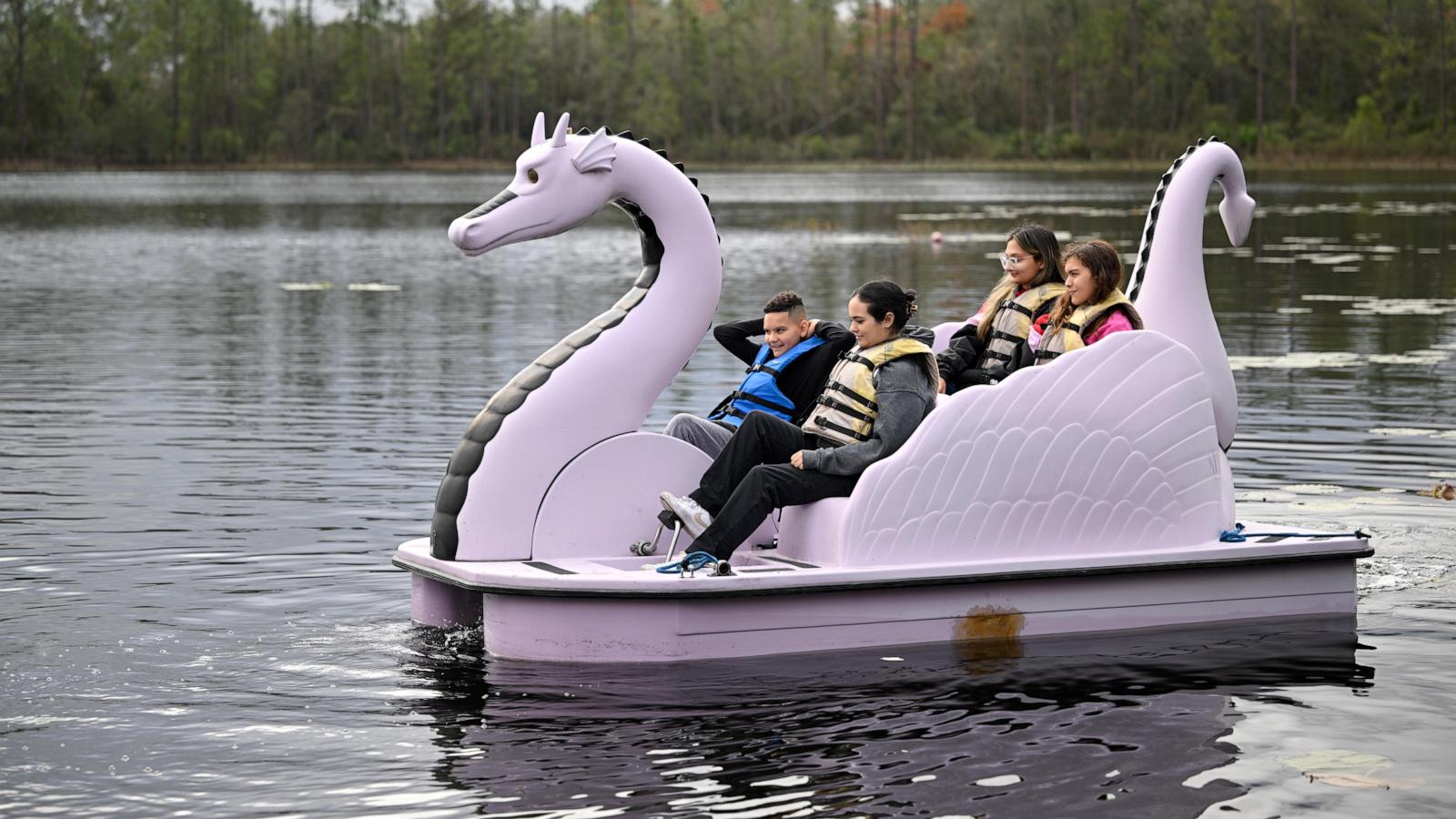 Paul Newman's Own: The 100% Charitable Company Inspiring Ethical Business